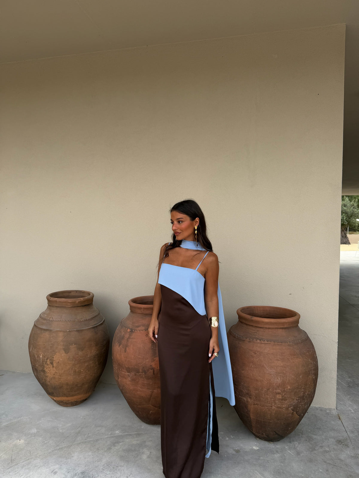 Joanna Dress - Marrone e Blu