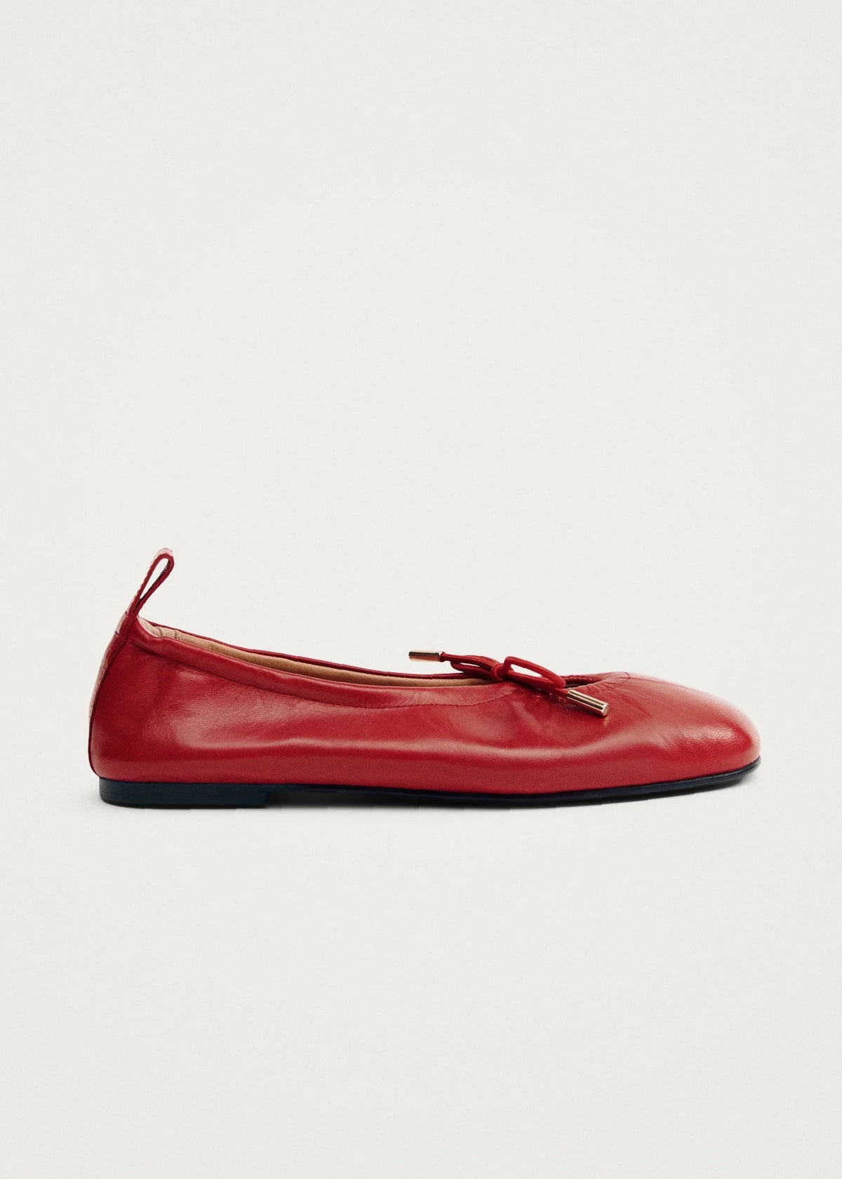 Ballerine Cuir Selvaris