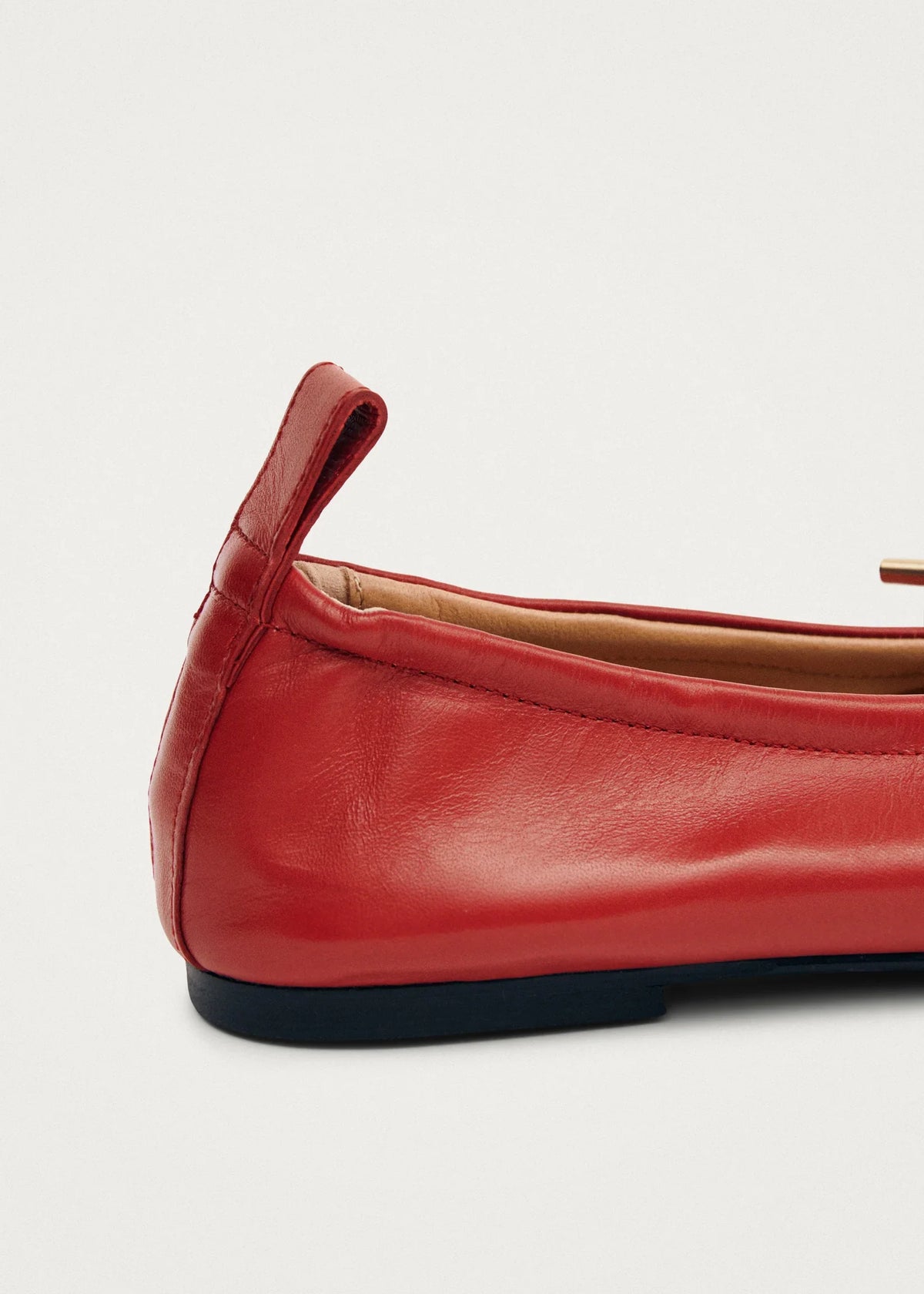 Ballerine Cuir Selvaris