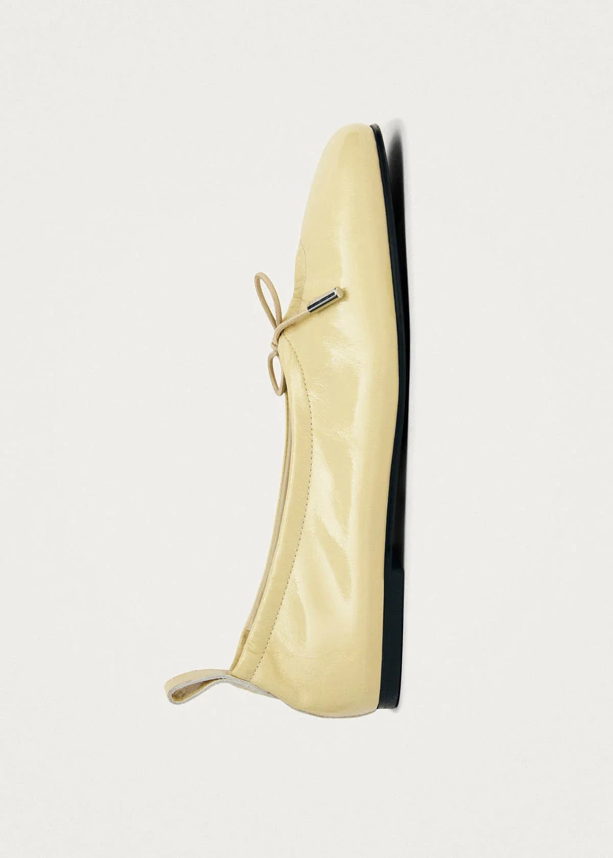 Ballerine Cuir Selvaris